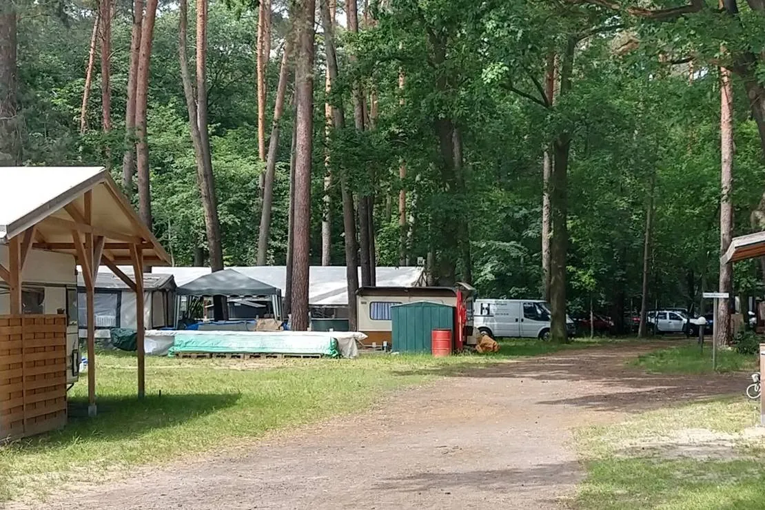 campingverein-mollensee-nord-grunheide-grunheide-wunsu