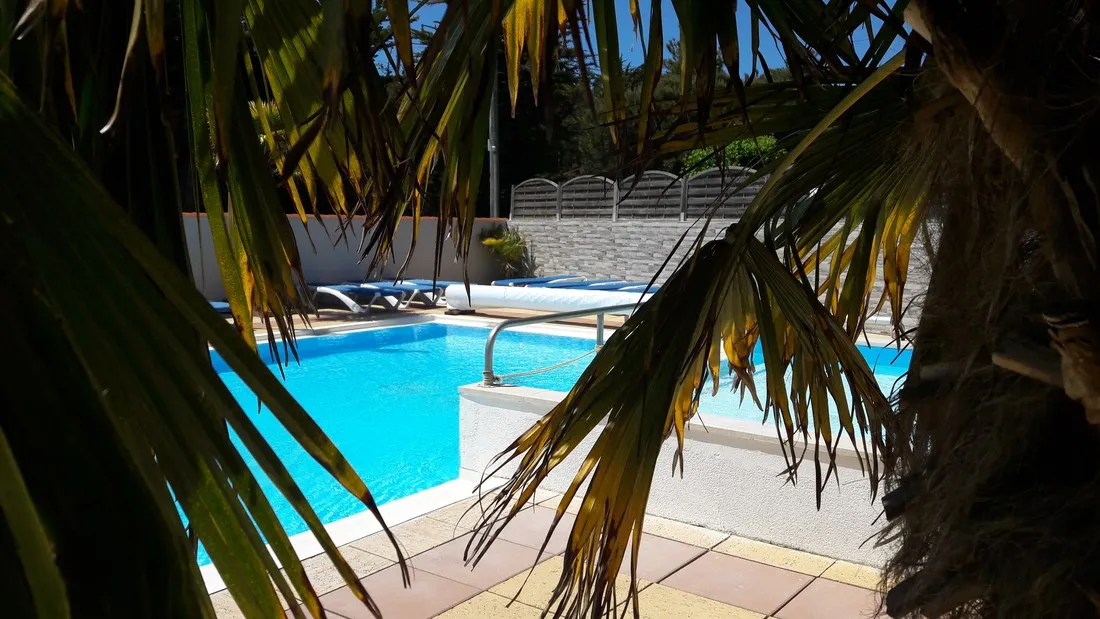 la-foret-st-jean-de-monts-vendee-nznde