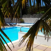 la-foret-st-jean-de-monts-vendee-nznde