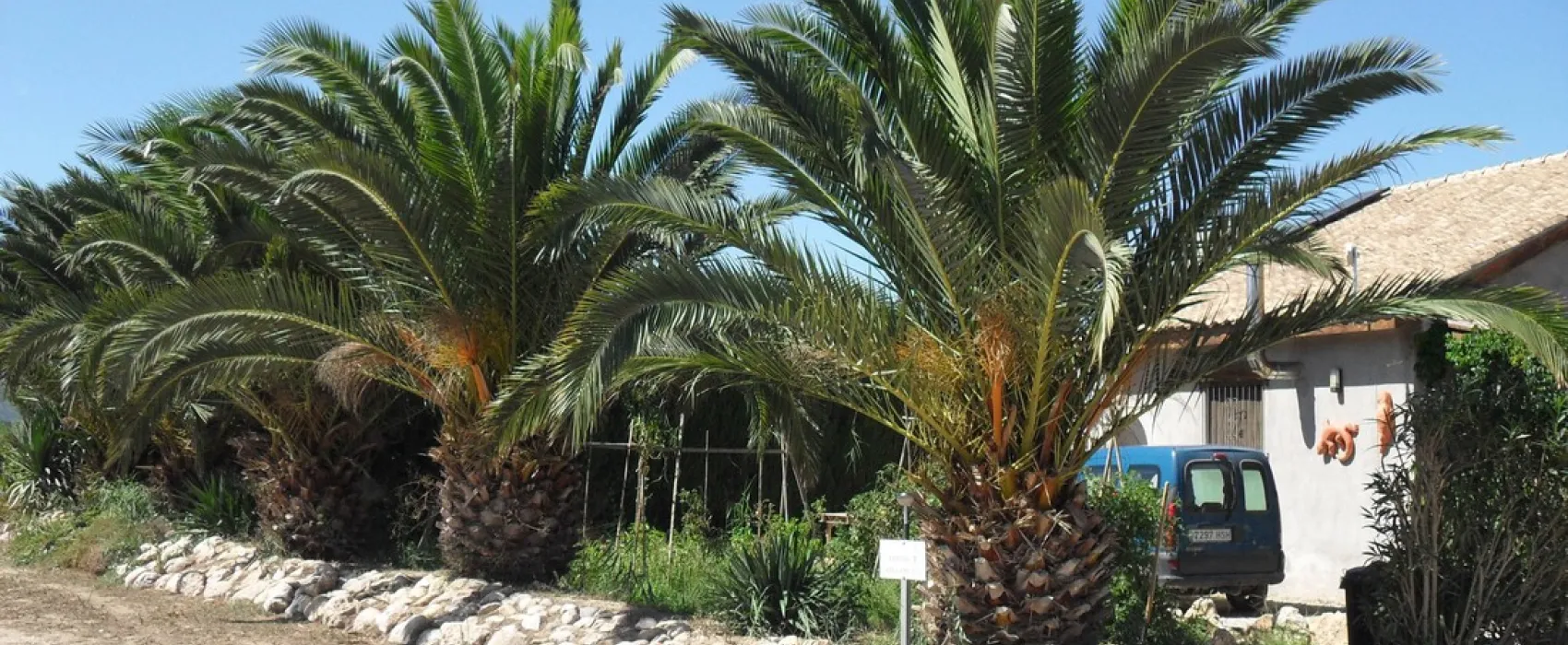 Ebroasis