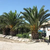 ebroasis-ginestar-h2jgm