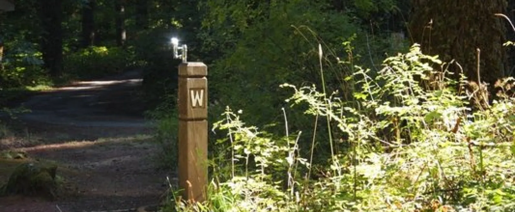 Herman Creek Campground