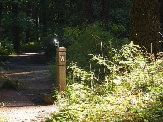 herman-creek-campground-cascade-locks-5unnt