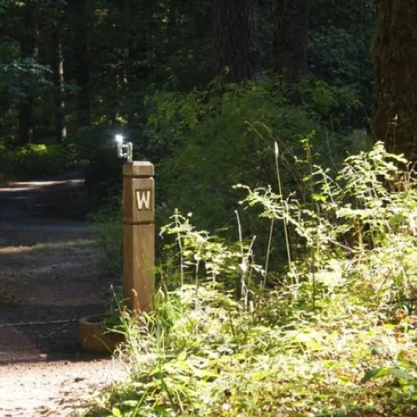 herman-creek-campground-cascade-locks-5unnt