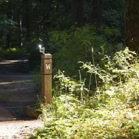 herman-creek-campground-cascade-locks-5unnt