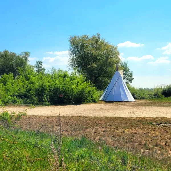 campspirit-biddinghuizen-r08ka