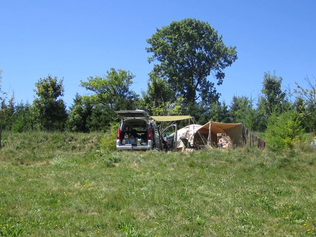 des-myrtilles-la-chapelle-en-vercors-osilp