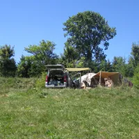des-myrtilles-la-chapelle-en-vercors-osilp