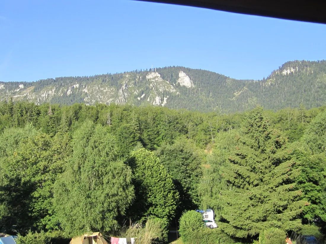 des-myrtilles-la-chapelle-en-vercors-t2elx