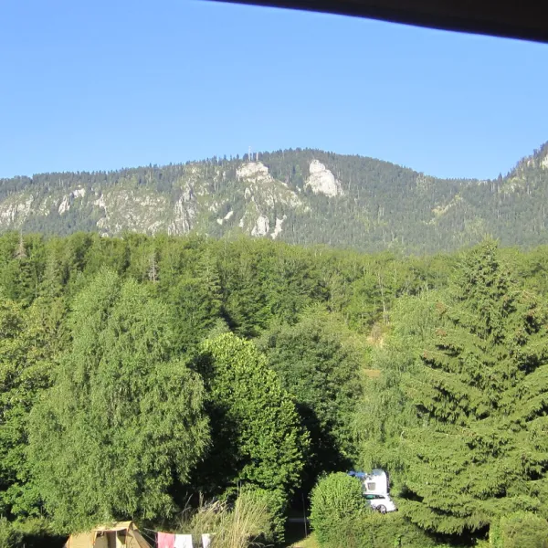 des-myrtilles-la-chapelle-en-vercors-t2elx