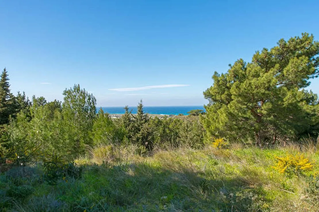 drolma-ling-theologos-village-8itm0