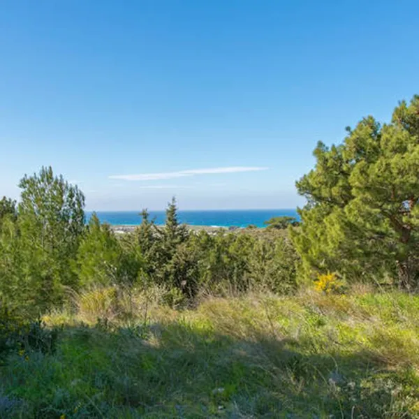 drolma-ling-theologos-village-8itm0