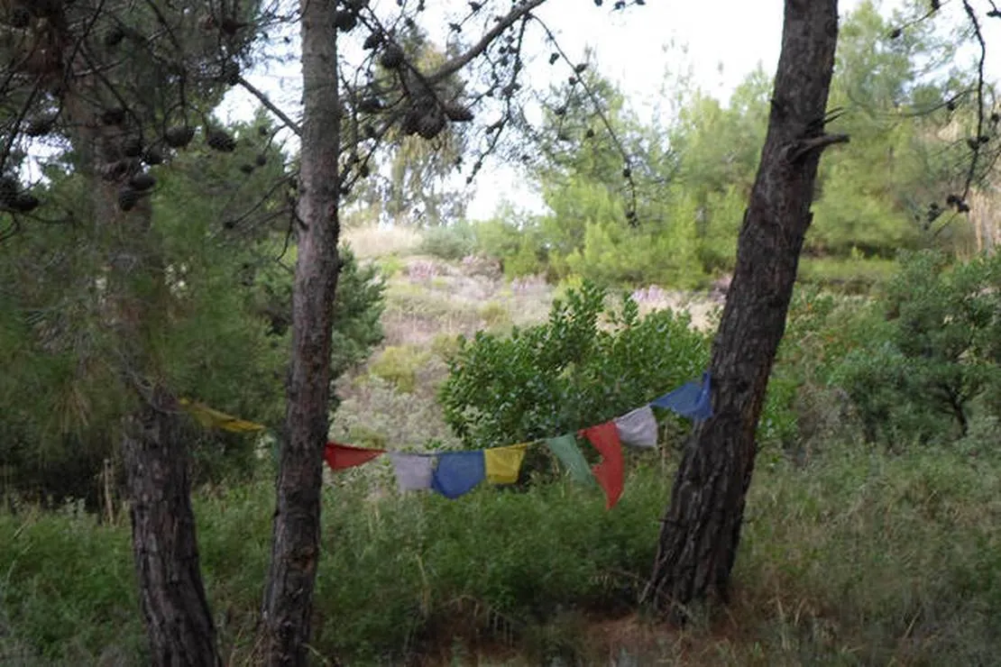 drolma-ling-theologos-village-q6bnb