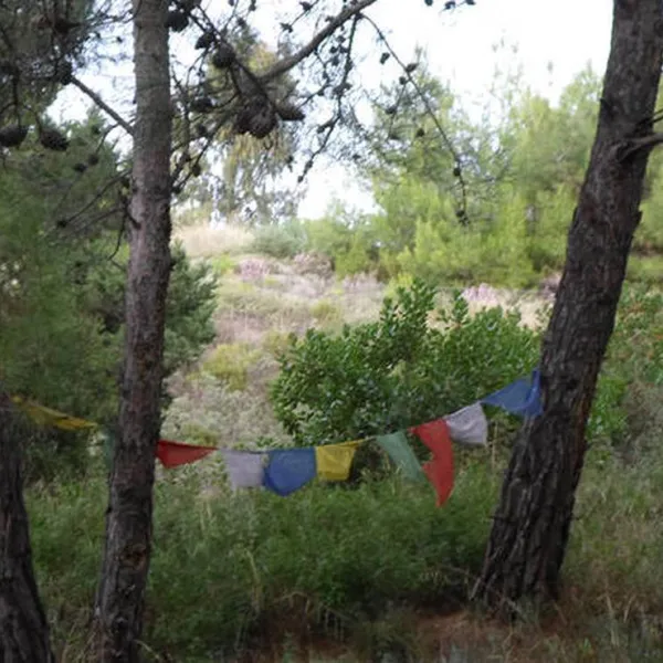 drolma-ling-theologos-village-q6bnb