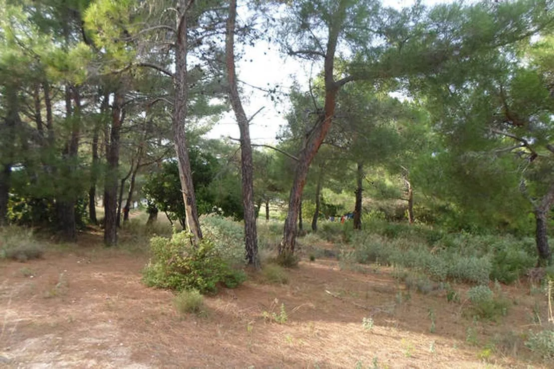 drolma-ling-theologos-village-xw3if