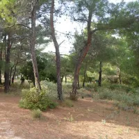 drolma-ling-theologos-village-xw3if