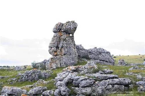 la-cascade-meyrueis-lozere-q0shg