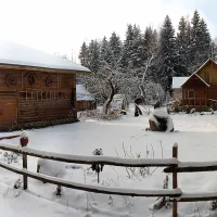 agroecology-hutor-of-komaryszkii-ostrovets-district-qxl9y