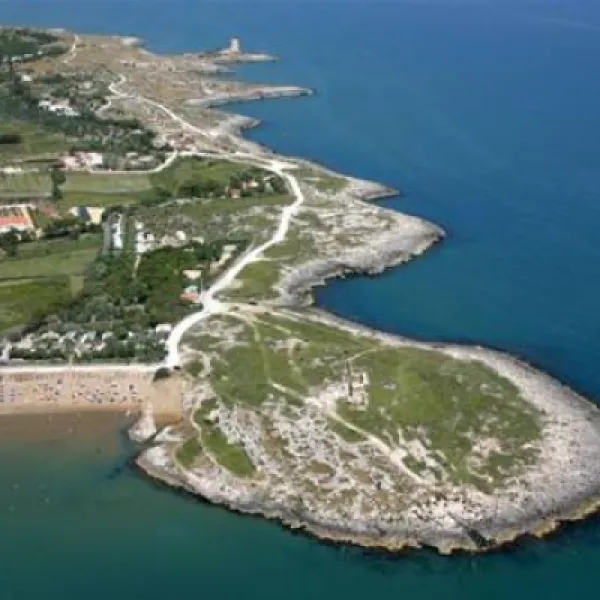 Camping Village Molinella Vacanze