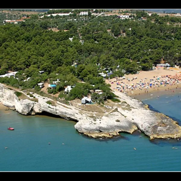 Camping Village Molinella Vacanze