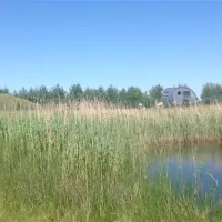 camping-kijkuit-zonnemaire-6kyjv