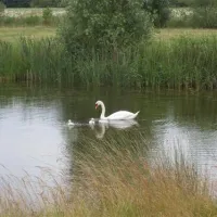 camping-kijkuit-zonnemaire-7qlfm