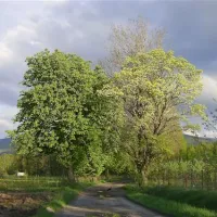 pension-educare-agroturistik-wolimierz-gmina-lesna-dbzls