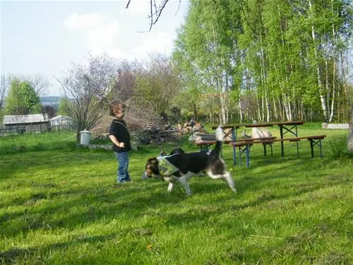 pension-educare-agroturistik-wolimierz-gmina-lesna-j4gjy
