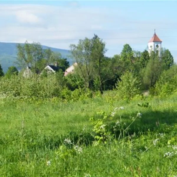 pension-educare-agroturistik-wolimierz-gmina-lesna-krszr