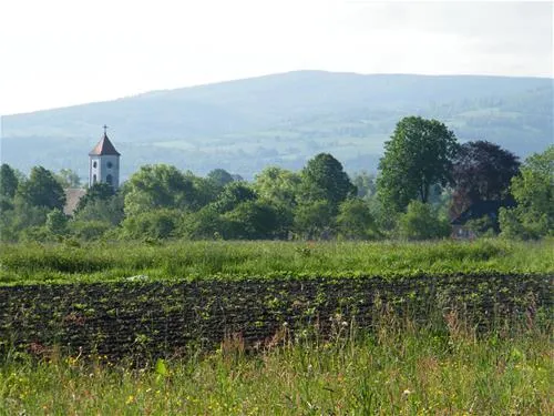 pension-educare-agroturistik-wolimierz-gmina-lesna-n438z