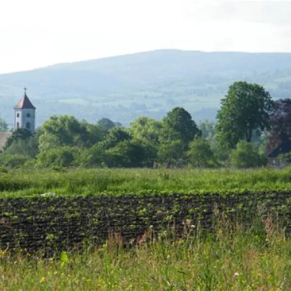 pension-educare-agroturistik-wolimierz-gmina-lesna-n438z