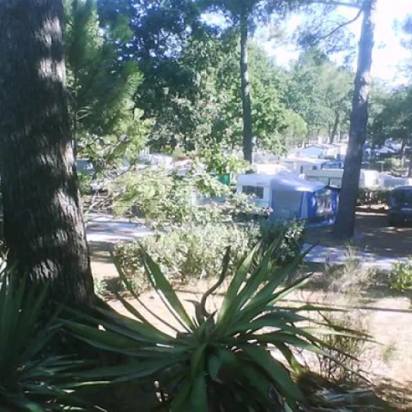 camping-fontaine-vieille-andernos-les-bains-acncq