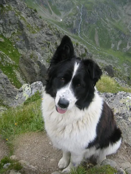 mountain-camp-pitztal-jerzens-zc26w