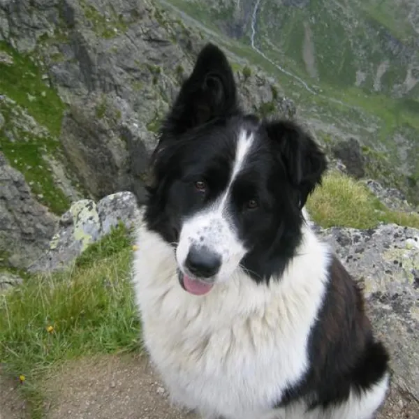 mountain-camp-pitztal-jerzens-zc26w