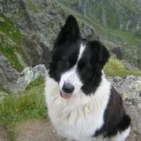 mountain-camp-pitztal-jerzens-zc26w