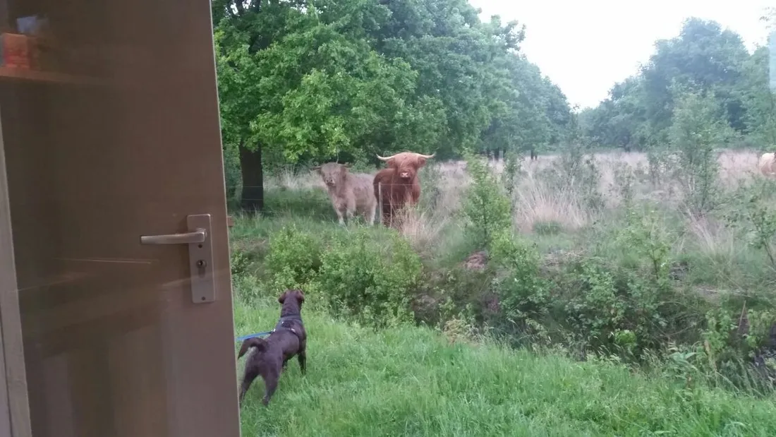 natuurkampeerterrein-voscheheugte-mantinge-afacl