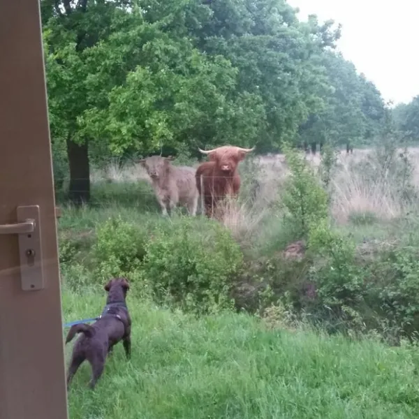 natuurkampeerterrein-voscheheugte-mantinge-afacl