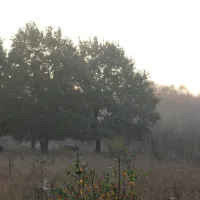 natuurkampeerterrein-voscheheugte-mantinge-asujb