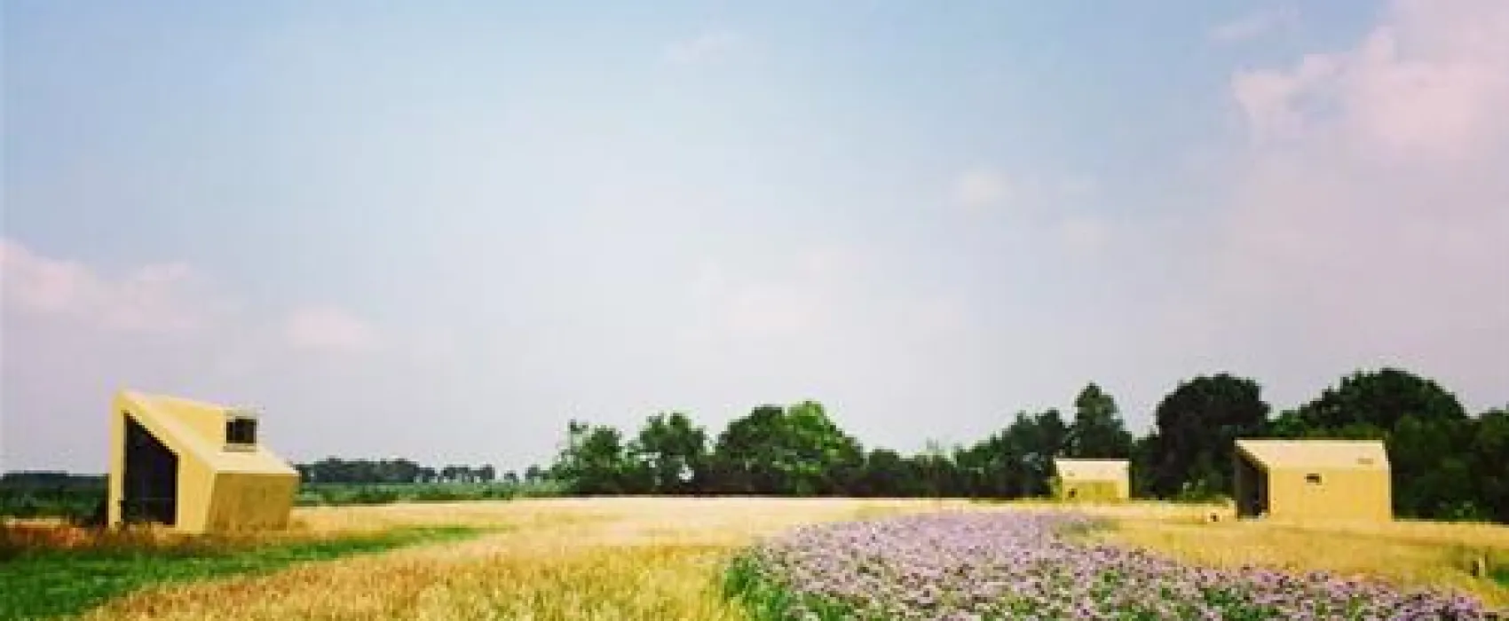 Natuurkampeerterrein Voscheheugte