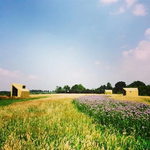natuurkampeerterrein-voscheheugte-mantinge-pfbys