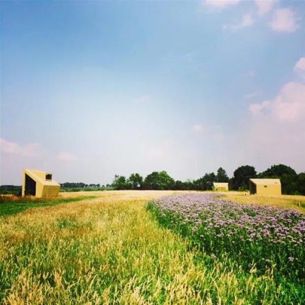 natuurkampeerterrein-voscheheugte-mantinge-pfbys