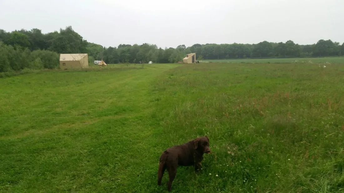 natuurkampeerterrein-voscheheugte-mantinge-srdh0