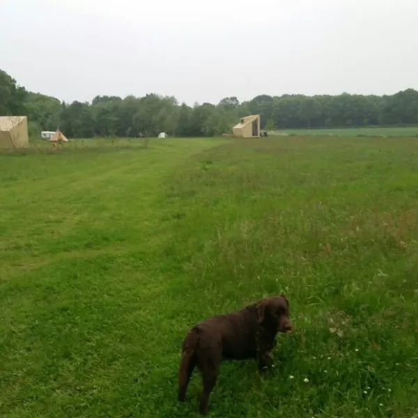 natuurkampeerterrein-voscheheugte-mantinge-srdh0