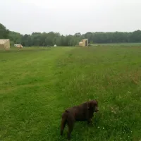 natuurkampeerterrein-voscheheugte-mantinge-srdh0