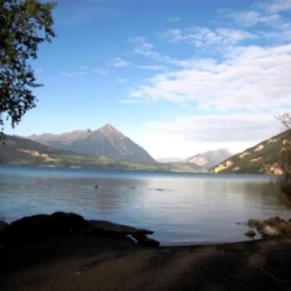 camping-manor-farm-interlakenthunersee-ngmwj