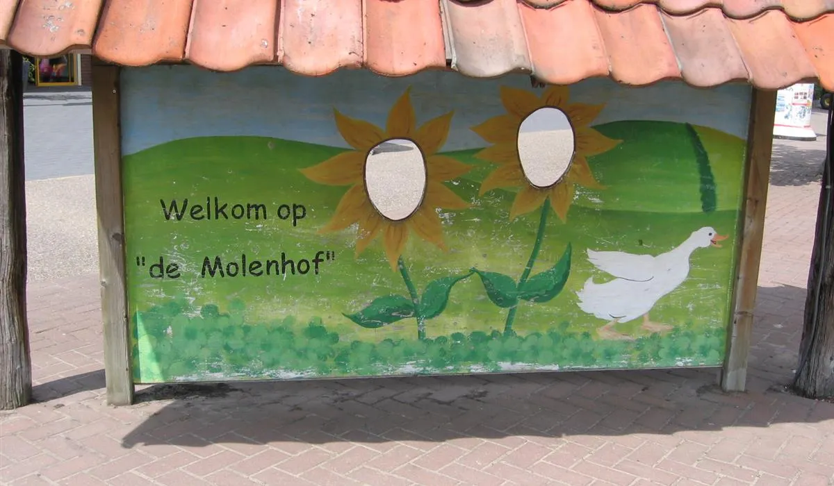 camping-de-molenhof-reutum-9sxix