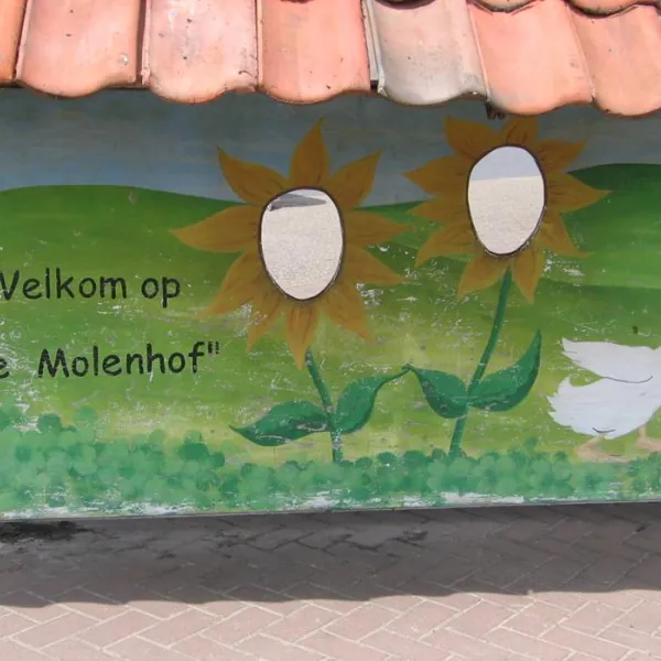 camping-de-molenhof-reutum-9sxix
