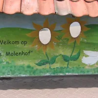 camping-de-molenhof-reutum-9sxix
