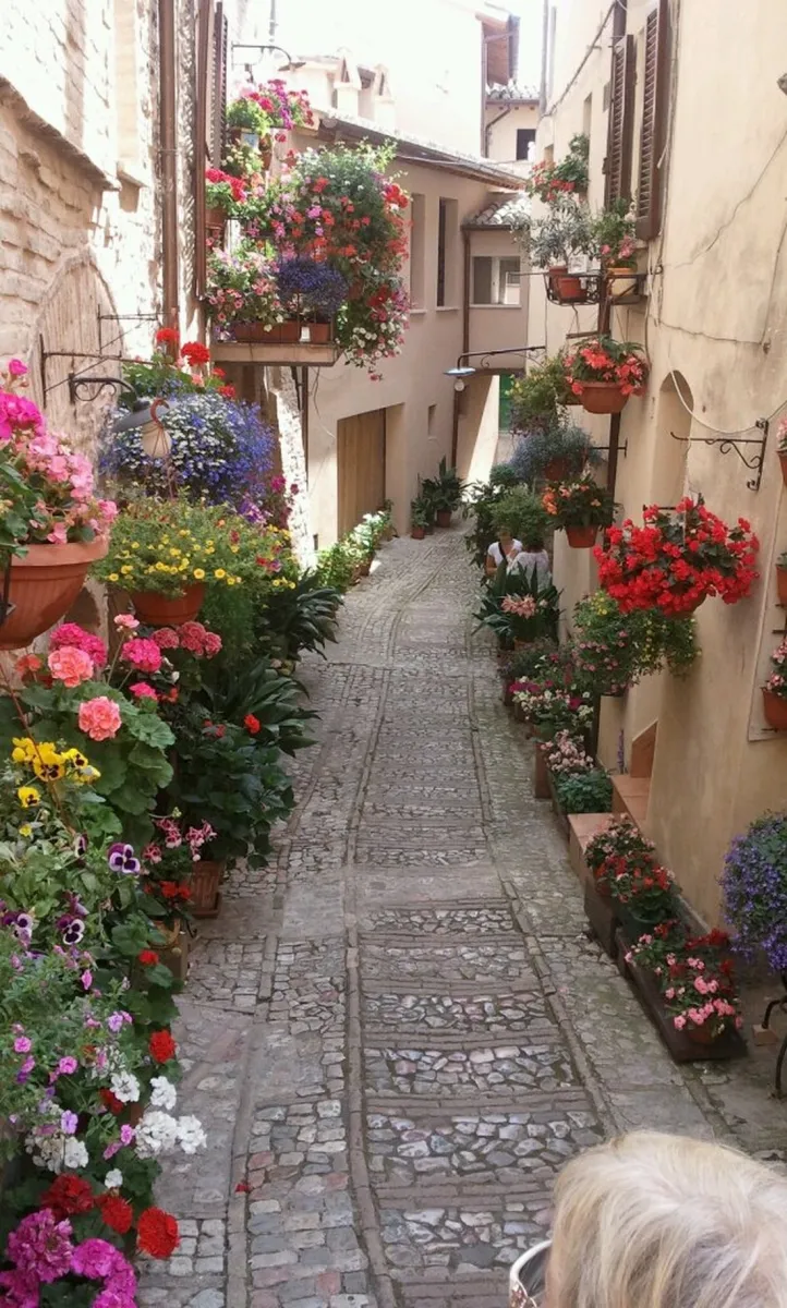 campeggio-pian-di-boccio-bevagna-adboe