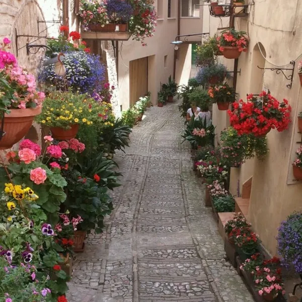 campeggio-pian-di-boccio-bevagna-adboe